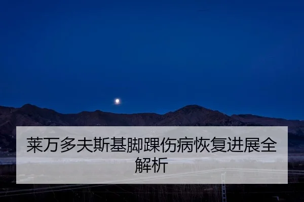 lai-wan-duo-fu-si-ji-jiao-huai-shang-bing-hui-fu-jin-zhan-quan-jie-xi-2-634.jpg
